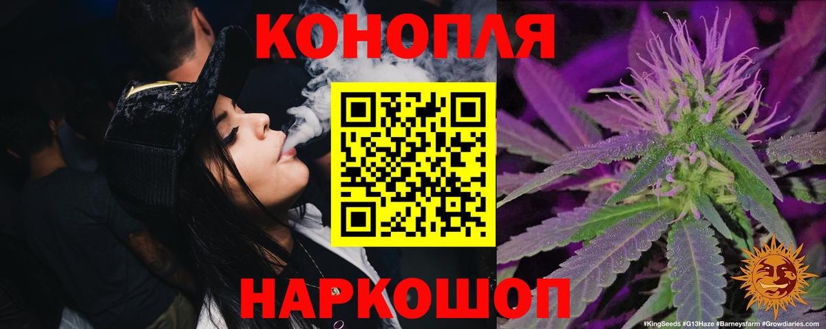 Бошки марихуана конопля Абакан